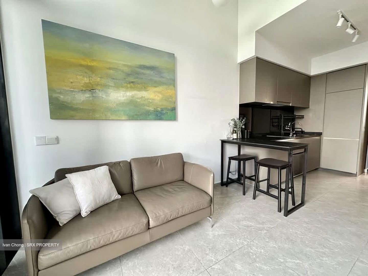 Park Colonial (D13), Condominium #565847271